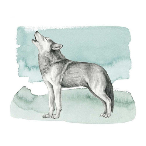 Animale I White Modern Wood Framed Art Print by Popp, Grace