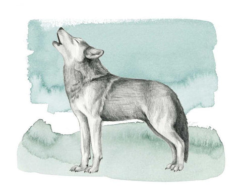 Animale I Black Ornate Wood Framed Art Print with Double Matting by Popp, Grace