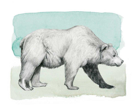 Animale II White Modern Wood Framed Art Print with Double Matting by Popp, Grace