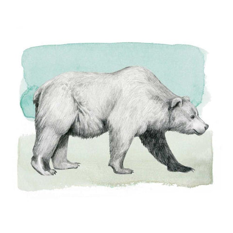 Animale II White Modern Wood Framed Art Print by Popp, Grace