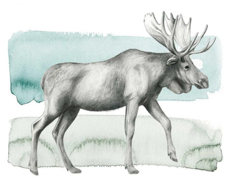 Animale III Black Ornate Wood Framed Art Print with Double Matting by Popp, Grace