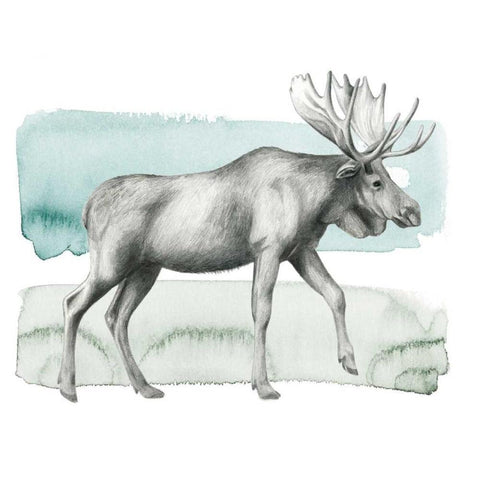 Animale III Black Modern Wood Framed Art Print by Popp, Grace