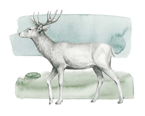 Animale IV Black Ornate Wood Framed Art Print with Double Matting by Popp, Grace