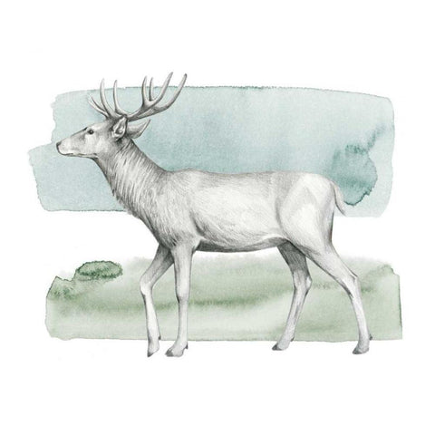 Animale IV Black Modern Wood Framed Art Print by Popp, Grace