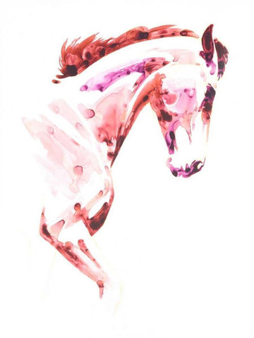 Garnet Horse I White Modern Wood Framed Art Print with Double Matting by Chapman, Julie T.