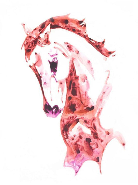 Image Only