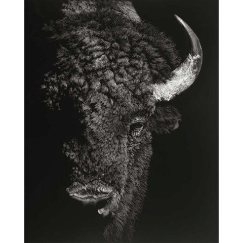 Black Glimpse I Black Modern Wood Framed Art Print by Chapman, Julie T.