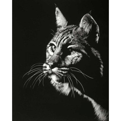 Black Glimpse II White Modern Wood Framed Art Print by Chapman, Julie T.