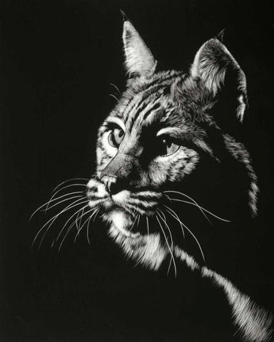 Black Glimpse II White Modern Wood Framed Art Print with Double Matting by Chapman, Julie T.