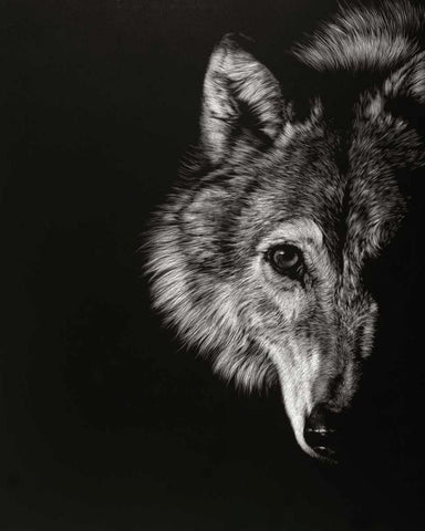 Black Glimpse III Black Ornate Wood Framed Art Print with Double Matting by Chapman, Julie T.