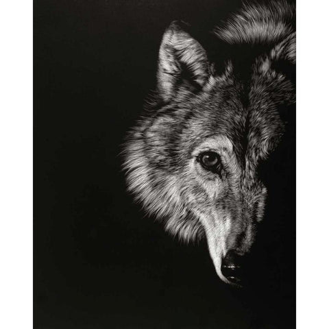 Black Glimpse III Black Modern Wood Framed Art Print by Chapman, Julie T.