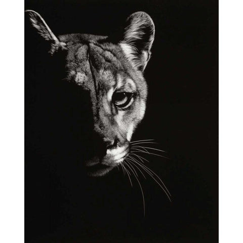 Black Glimpse IV Gold Ornate Wood Framed Art Print with Double Matting by Chapman, Julie T.