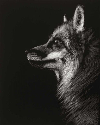 Black Glimpse V White Modern Wood Framed Art Print with Double Matting by Chapman, Julie T.