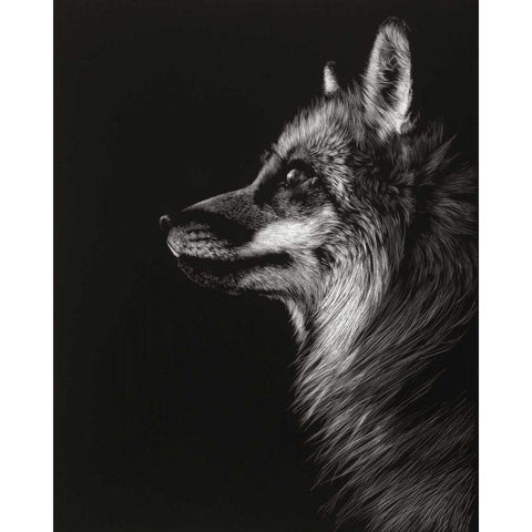 Black Glimpse V Black Modern Wood Framed Art Print with Double Matting by Chapman, Julie T.