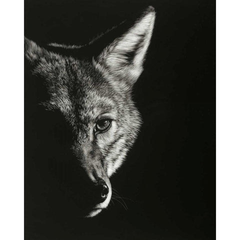 Black Glimpse VI Black Modern Wood Framed Art Print with Double Matting by Chapman, Julie T.