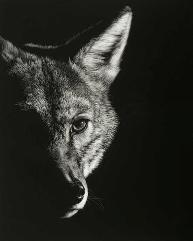 Black Glimpse VI Black Ornate Wood Framed Art Print with Double Matting by Chapman, Julie T.