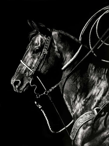 Scratchboard Rodeo V White Modern Wood Framed Art Print with Double Matting by Chapman, Julie T.