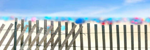 Beachscape II Black Ornate Wood Framed Art Print with Double Matting by McLoughlin, James