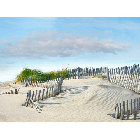 Beachscape III Gold Ornate Wood Framed Art Print with Double Matting by McLoughlin, James