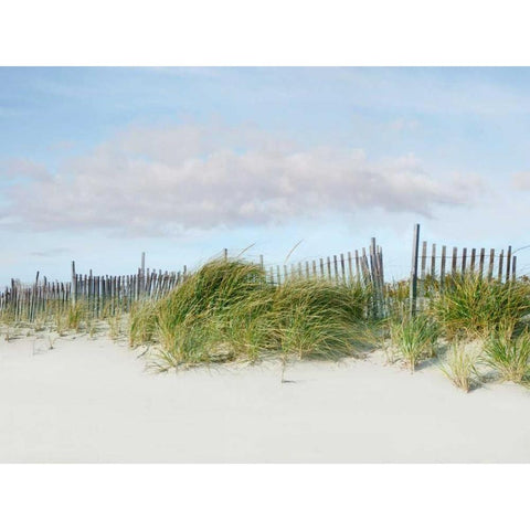 Beachscape IV Black Modern Wood Framed Art Print by McLoughlin, James