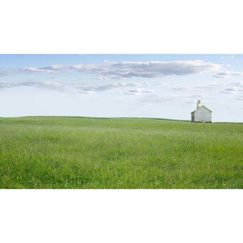 Farm and Country I Black Modern Wood Framed Art Print by McLoughlin, James