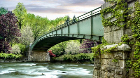 Farm and Country III Black Ornate Wood Framed Art Print with Double Matting by McLoughlin, James