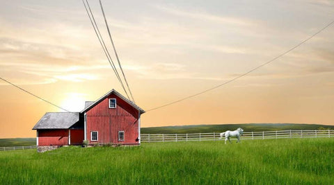 Farm and Country IV Black Ornate Wood Framed Art Print with Double Matting by McLoughlin, James