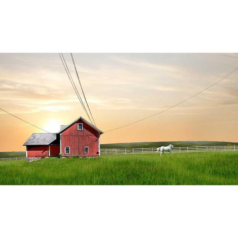 Farm and Country IV Black Modern Wood Framed Art Print with Double Matting by McLoughlin, James
