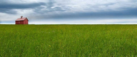 Farm and Country VI White Modern Wood Framed Art Print with Double Matting by McLoughlin, James