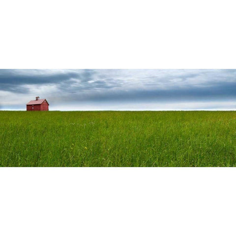 Farm and Country VI Black Modern Wood Framed Art Print by McLoughlin, James