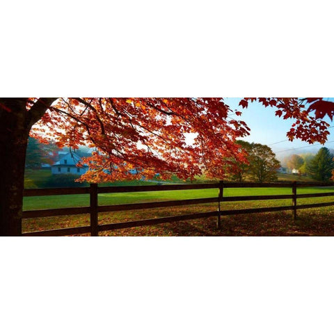 Farm and Country IX Black Modern Wood Framed Art Print with Double Matting by McLoughlin, James