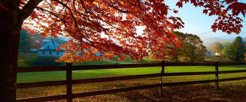 Farm and Country IX White Modern Wood Framed Art Print with Double Matting by McLoughlin, James