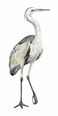 Grey Watercolor Heron I Black Ornate Wood Framed Art Print with Double Matting by Popp, Grace