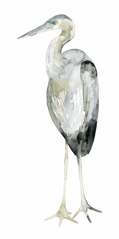 Grey Watercolor Heron II Black Modern Wood Framed Art Print by Popp, Grace