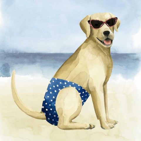 Hot Dog III White Modern Wood Framed Art Print by Popp, Grace