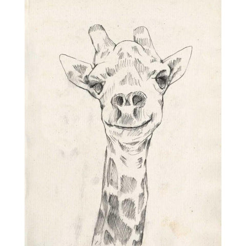 Giraffe Portrait I White Modern Wood Framed Art Print by Goldberger, Jennifer