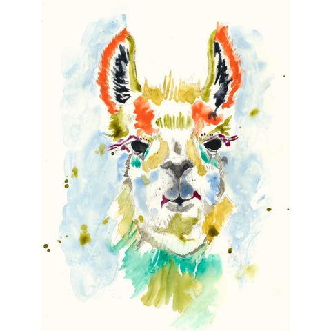 Hifi Llama I Black Modern Wood Framed Art Print with Double Matting by Goldberger, Jennifer