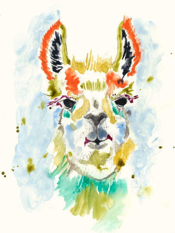 Hifi Llama I White Modern Wood Framed Art Print with Double Matting by Goldberger, Jennifer