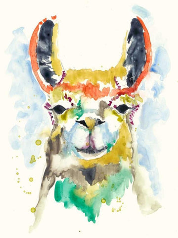 Hifi Llama II White Modern Wood Framed Art Print with Double Matting by Goldberger, Jennifer