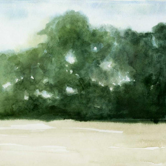 Image Only