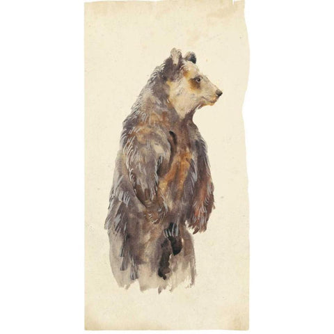 Brown Bear Stare II White Modern Wood Framed Art Print by Wang, Melissa