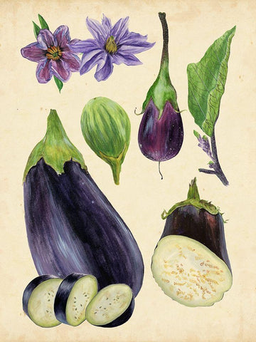 Aubergine Study I White Modern Wood Framed Art Print with Double Matting by Wang, Melissa