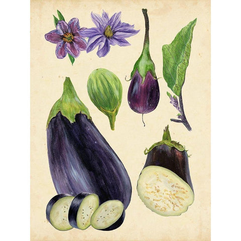 Aubergine Study I White Modern Wood Framed Art Print by Wang, Melissa