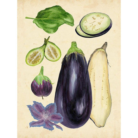 Aubergine Study II Gold Ornate Wood Framed Art Print with Double Matting by Wang, Melissa