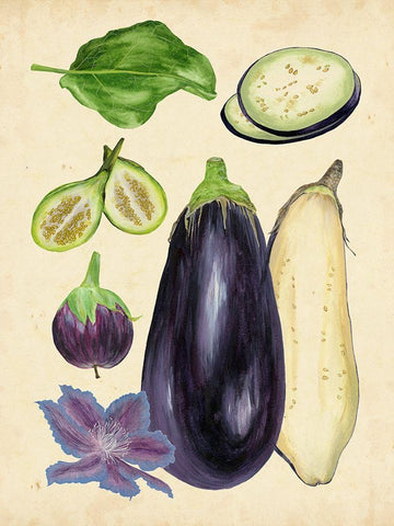 Aubergine Study II Black Ornate Wood Framed Art Print with Double Matting by Wang, Melissa