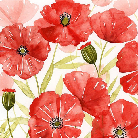 Poppy Screen I White Modern Wood Framed Art Print with Double Matting by Popp, Grace