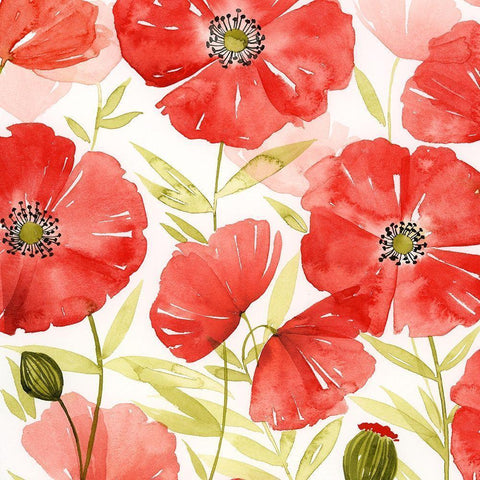 Poppy Screen II Black Modern Wood Framed Art Print with Double Matting by Popp, Grace