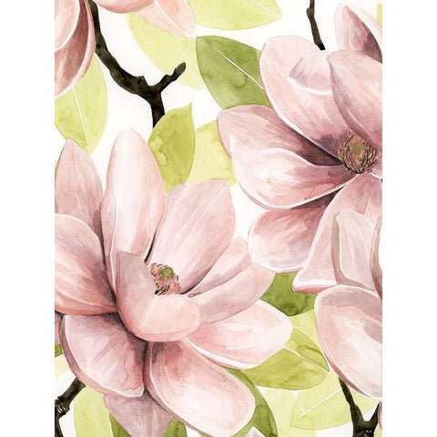 Blush Magnolia I Black Modern Wood Framed Art Print with Double Matting by Popp, Grace