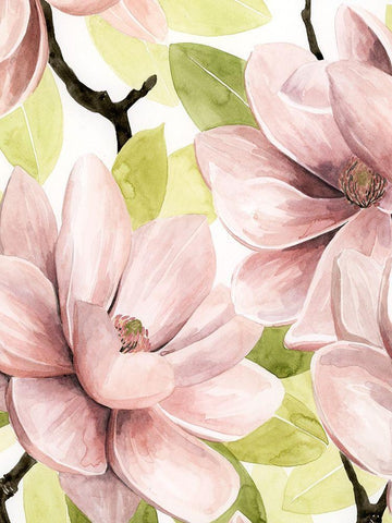 Blush Magnolia I Black Ornate Wood Framed Art Print with Double Matting by Popp, Grace