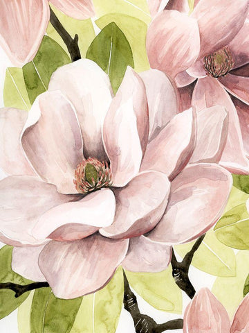 Blush Magnolia II White Modern Wood Framed Art Print with Double Matting by Popp, Grace
